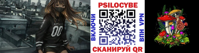 наркота  Краснокамск  Псилоцибиновые грибы Magic Shrooms 
