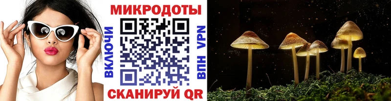 Псилоцибиновые грибы Psilocybine cubensis Краснокамск